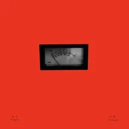 Foldback von Muggle – Album Cover