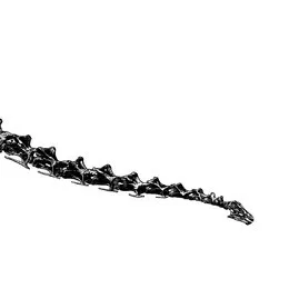 Diplodocus von Brontosaurus – Album Cover