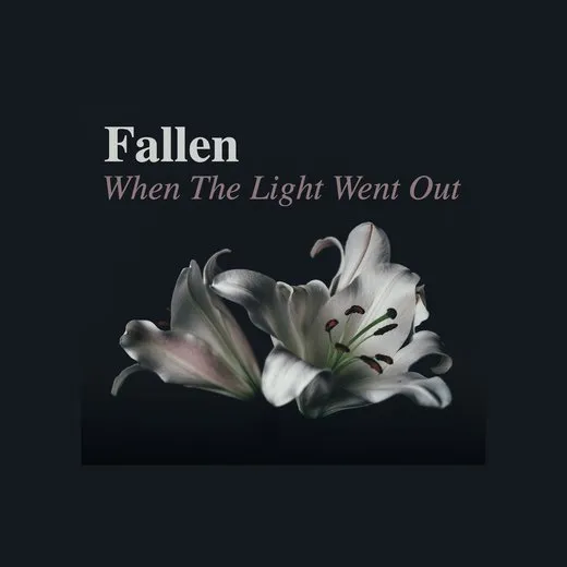 When the Light Went Out von Fallen – Album Cover