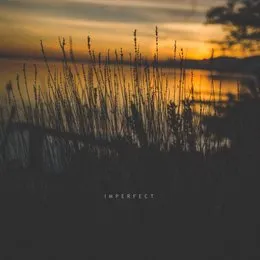 Imperfect von Sadness – Album Cover