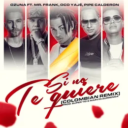 Si no te quiere (Colombian remix) von Mr. Frank – Cover