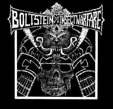 Bolt Stein / Insect Warfare von Insect Warfare – Cover