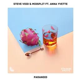 Paranoid von Steve Void – Cover