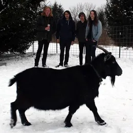Bock Rock Parade von Rational Animals – Album Cover