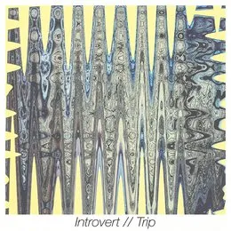 Trip von Introvert – Cover
