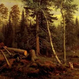Dreams of Forests von Acheulean Forests – Album Cover