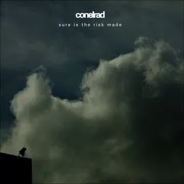 Sure Is the Risk Made von conelrad – Album Cover