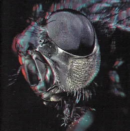 A God Among Insects von Humanfly – Album Cover