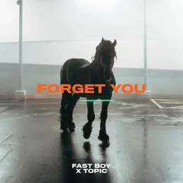 Forget You von Topic – Album Cover