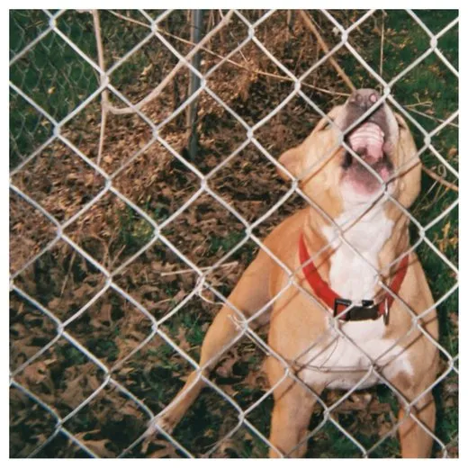 Pop Culture von Knocked Loose – Album Cover
