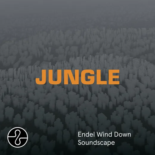 Jungle (Wind Down Soundscape)