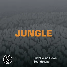 Jungle (Wind Down Soundscape) von The Blaze – Cover