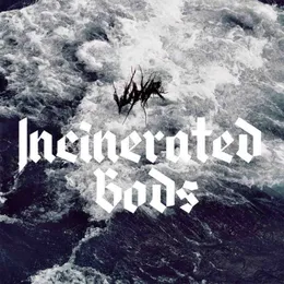 Incinerated Gods von Vuyvr – Cover