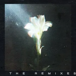 Light That Leads Me (The Remixes) von Bebe Rexha – Album Cover