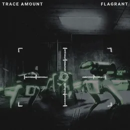 FLAGRANT von Trace Amount – Album Cover