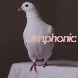 Nur5e von Dimphonic – Album Cover