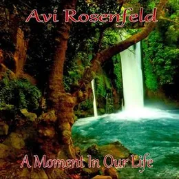 A Moment in Our Life von Avi Rosenfeld – Album Cover