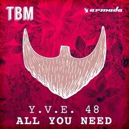 All You Need von Y.V.E. 48 – Cover