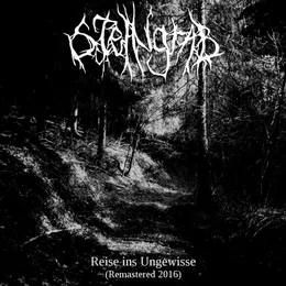 Reise Ins Ungewisse von Steingrab – Cover
