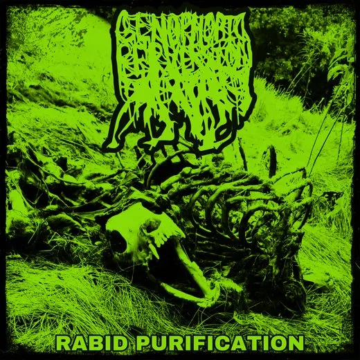 Rabid Purification