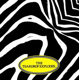 Reward von The Teardrop Explodes – Cover