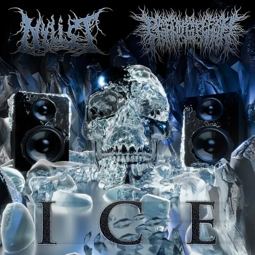 Ice von Nylist – Album Cover