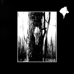 Súmračné prebúdzanie drevhov von Korium – Cover