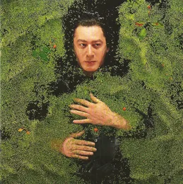 Fantaisie militaire von Alain Bashung – Album Cover