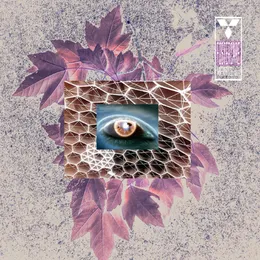 Innerspace Vol. 1 von Fostercare – Album Cover