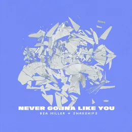 NEVER GONNA LIKE YOU von Snakehips – Cover