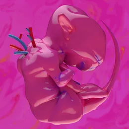 ekkolaptómenos von 春ねむり – Album Cover
