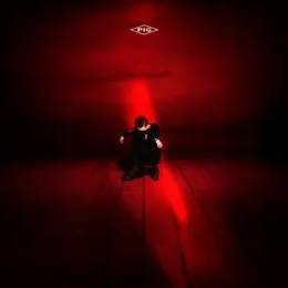 Red Room von PIG – Album Cover