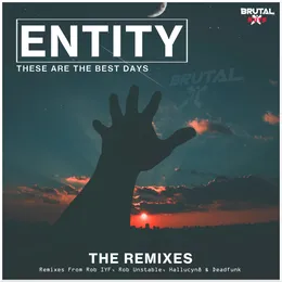These Are the Best Days: The Remixes von DJ Entity – Cover