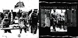 Waffenbruderschaft/Aseveljeys / 毒 von Xenophobic Ejaculation – Album Cover