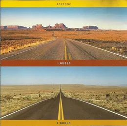 I Guess I Would von Acetone – Album Cover