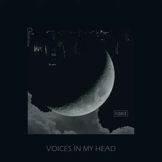 Voices In My Head
