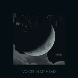 Voices In My Head von Kosmos – Cover