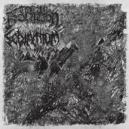 Total Isolation / Sedimentum von Sedimentum – Cover
