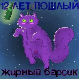 12 лет пошлый (ремиксы) von ЖИРНЫЙ БАРСИК – Cover