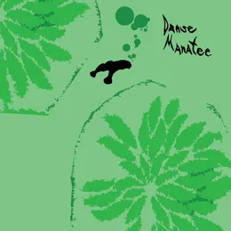 Danse Manatee von Panda Bear – Album Cover