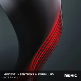 Internally von Formulus – Cover