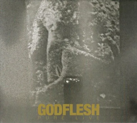 Pure : Live von Godflesh – Cover