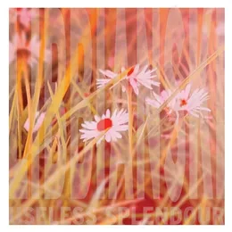 Useless Splendour von Libbianski – Album Cover