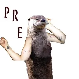 Epic Fits von PRE – Album Cover