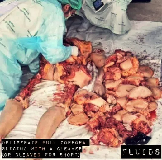 Deliberate Full Corporal Slicing With a Cleaver von Fluids – Album Cover