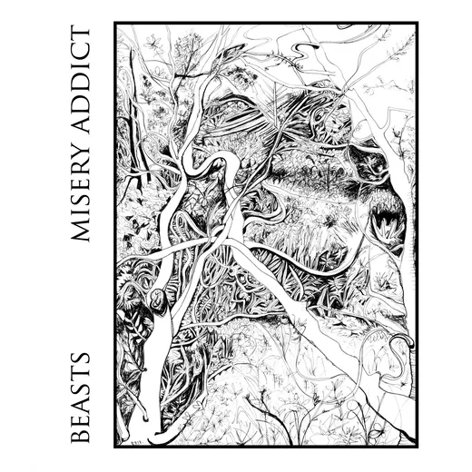 Misery Addict / Beasts