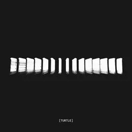 Landmass von Turtle – Album Cover