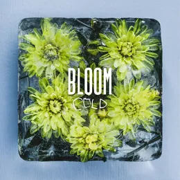 Cold von Bloom – Cover
