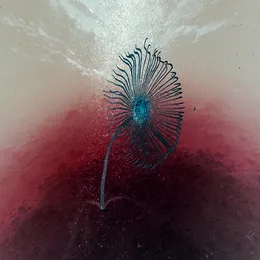 Dive Into The Blue von Void Thermocline – Cover