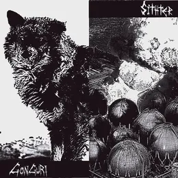 Gonguri / Sithter von Sithter – Album Cover